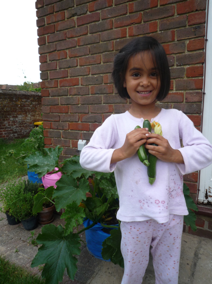 5 July courgettes 2.jpg